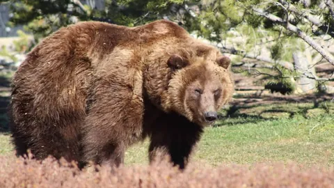 中国一线经济发展态势：新生产力潮流持续涌现