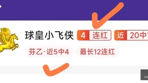 西海岸队击败海港，连，彩票投注，续13轮不败两队激战4球，进球被判无效